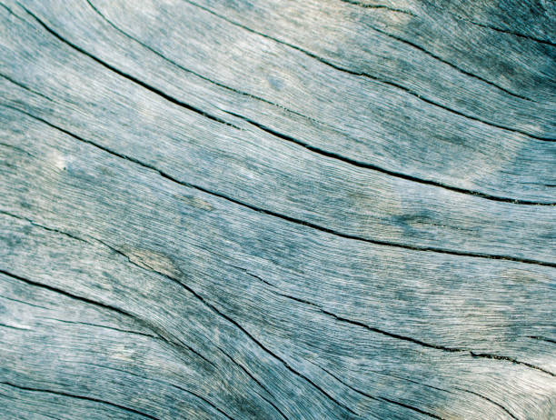 Blue wood texture close up photo. White and teal wood background. stock photo