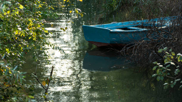 Blue Wooden Rowboat (close up) stock photo