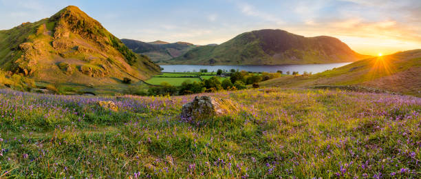 Bluebell Panorama At Rannerdale In Lake District Beautiful sunset at Rannerdale Knots in the Lake District with bluebells and evening light shining on rock. cumbria stock pictures, royalty-free photos & images