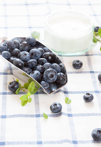 Blueberries and Yogurt stock photo