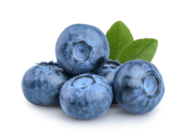 Blueberries isolated on white background Blueberries isolated on white background bilberry fruit stock pictures, royalty-free photos & images