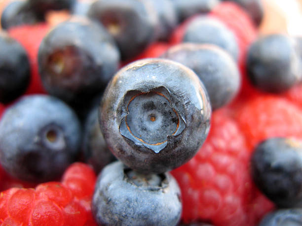 Blueberries stacked with Raspberries Close-up stock photo