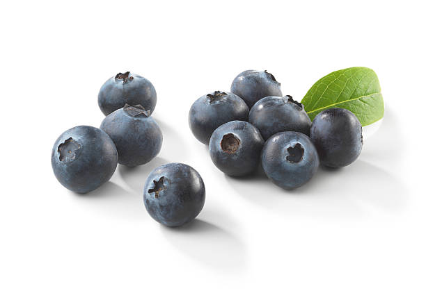Blueberries with Leaf stock photo