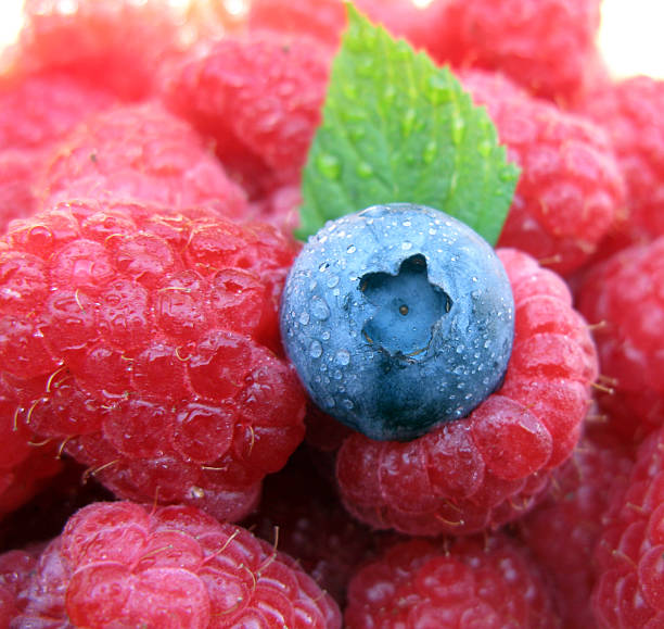 Blueberry and Raspberries with Leaf stock photo