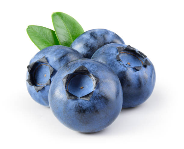 Blueberry. Bilberry. Blueberries isolated on white background. With leaves. Clipping path. Blueberry. Bilberry. Blueberries isolated on white background. With leaves. Clipping path. bilberry fruit stock pictures, royalty-free photos & images
