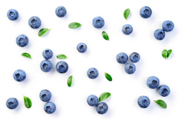 Blueberry isolated. Blueberries background. Blueberry on white background. With leaves. Blueberry isolated. Blueberries background. Blueberry on white background. With leaves. bilberry fruit stock pictures, royalty-free photos & images