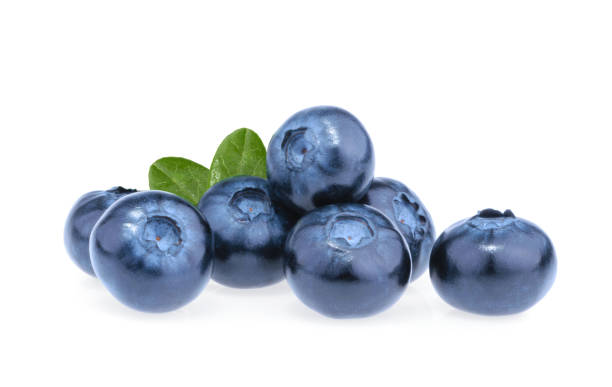 Blueberry isolated on white background Blueberry isolated on white background bilberry fruit stock pictures, royalty-free photos & images