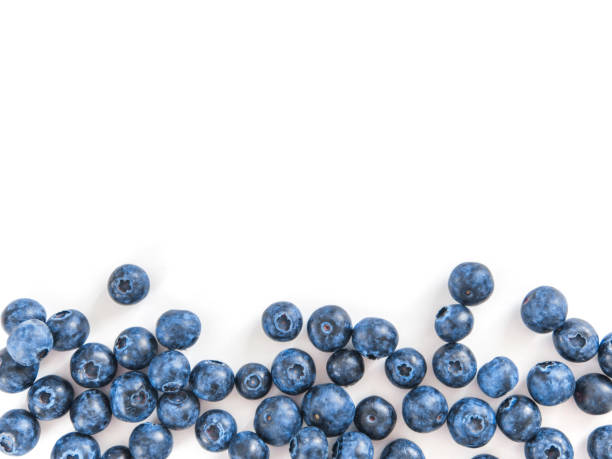 Blueberry isolated, white,copy space Creative layout with fresh ripe berries. Blueberry isolated on white background with copy space. Can use for your design, promo, social media. Top view. blueberry stock pictures, royalty-free photos & images