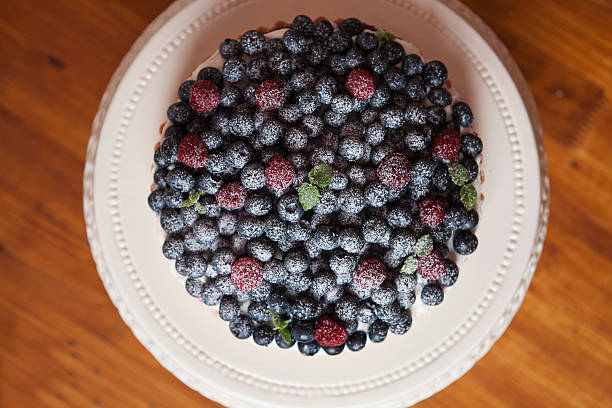 Blueberry Tart stock photo