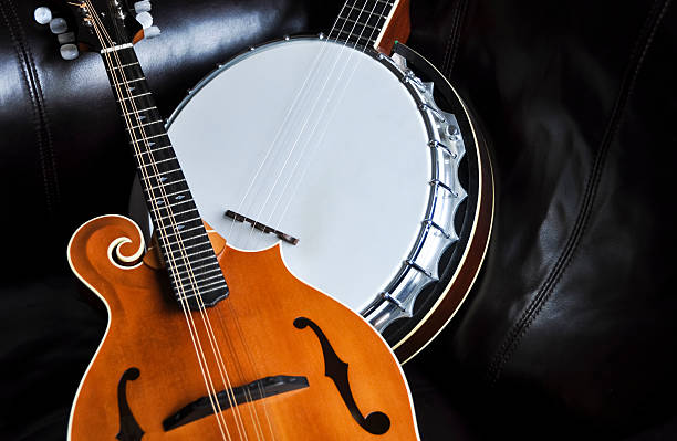 Bluegrass Mandolin and Banjo stock photo
