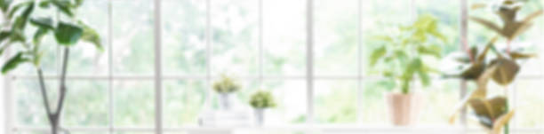 Blur house window see through green plant garden background of living room in home.banner backdrop stock photo