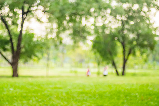 Blurred background,People exercise at green park with bokeh ligh stock photo