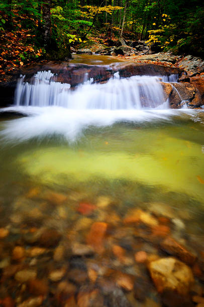 Blurred Motion Falls on the Pemi (Franconia Notch) The pristine Pemigewasset River (west branch) as it runs through Franconia Notch demarcating the west side of the Pemigewasset Wilderness, located in the White Mountains National Forest of New Hampshire, USA. This is a popular waterfall just upstream of the well-known "Basin." mike cherim stock pictures, royalty-free photos & images