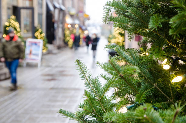Blurred people walking of Petit Champlain street Blurred people walking of Petit Champlain street with Christmas tree in foreground downtown Quebec city during day of autumn pinaceae stock pictures, royalty-free photos & images