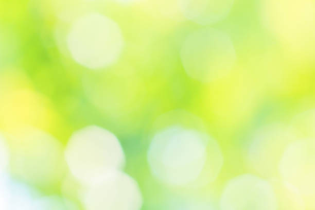 Blurred summer background with sun glare in the green grass stock photo