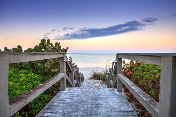 Boardwalk leading down to the white sands Boardwalk leading down to the white sands along the North Gulf Shore Beach at sunrise in Naples, Florida naples florida beach photos stock pictures, royalty-free photos & images
