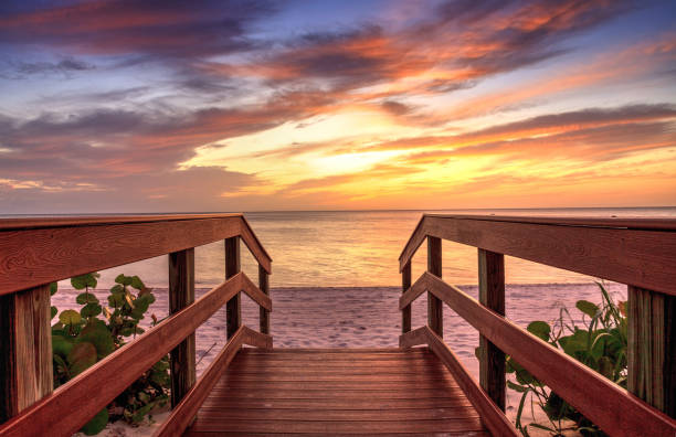 Boardwalk leading to a Sunset over North Gulf Shore Beach Boardwalk leading to a Sunset over North Gulf Shore Beach along the coastline of Naples, Florida naples florida beach photos stock pictures, royalty-free photos & images