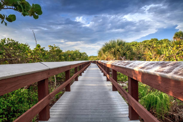 Boardwalk leads down to the white sand of Barefoot Beach stock photo