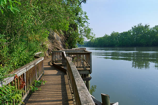 Boardwalk Boardwalk at Ijams Nature Center, Knoxville, Tennessee USA tennessee river stock pictures, royalty-free photos & images