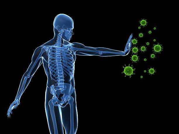 pertahanan tubuh - sistem imun potret stok, foto, & gambar bebas royalti