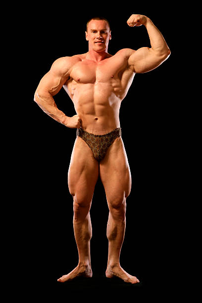 Bodybuilder (XXL)  body building stock pictures, royalty-free photos & images