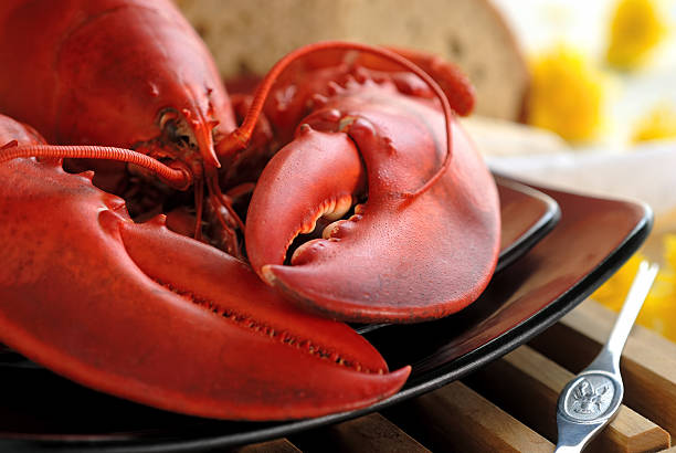 Boiled Atlantic Lobster A delicious boiled lobster with lemons and bread. animal antenna stock pictures, royalty-free photos & images