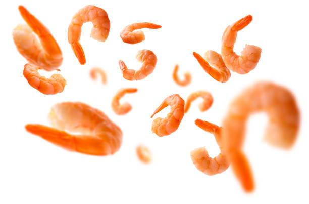 Boiled prawns levitate on a white background Boiled prawns levitate on a white background. prawn seafood stock pictures, royalty-free photos & images
