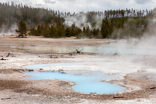Landscape of boiling water of blue geyser basin with smoke and background of pine forest inside hot zone of Yellowstone National Park, Wyoming, USA.