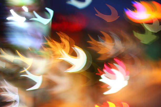 Multicolour bokeh flying birds shape ,the art from night lights