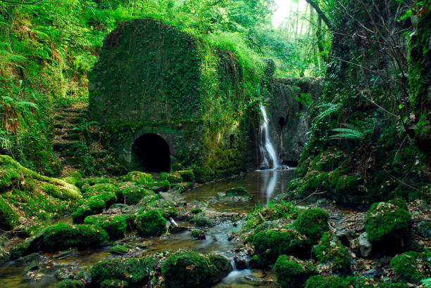 Bolunzulo old mill and waterfall in Kortezubi. Urdaibai Biosphere Reserve. Basque Country. Spain Bolunzulo old mill and waterfall in Kortezubi. Urdaibai Biosphere Reserve. Basque Country. Spain bioreserve stock pictures, royalty-free photos & images