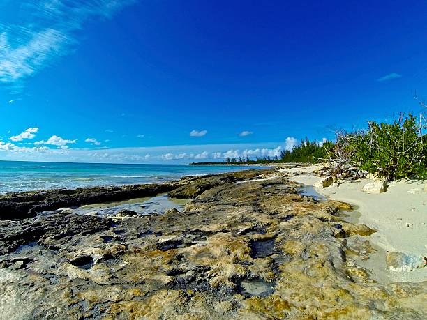 Bonefish Bay Landscape 1 stock photo
