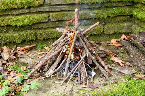 Bonfire closeup in forest in wimdy day