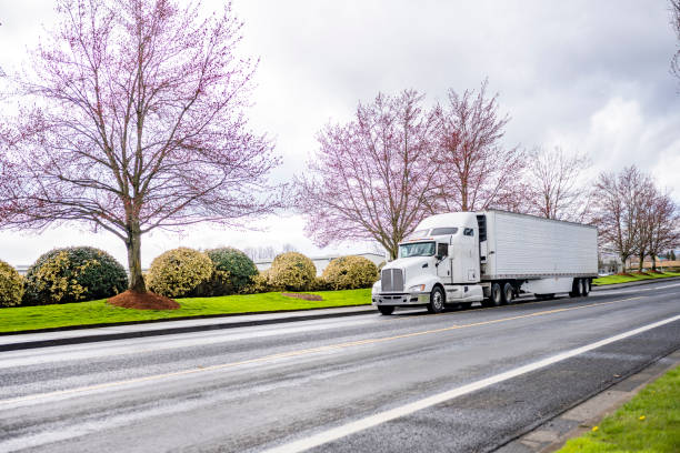 Bonnet big rig white big rig semi truck transporting cargo in refrigerator semi trailer running on the local road with blooming spring trees on the side stock photo
