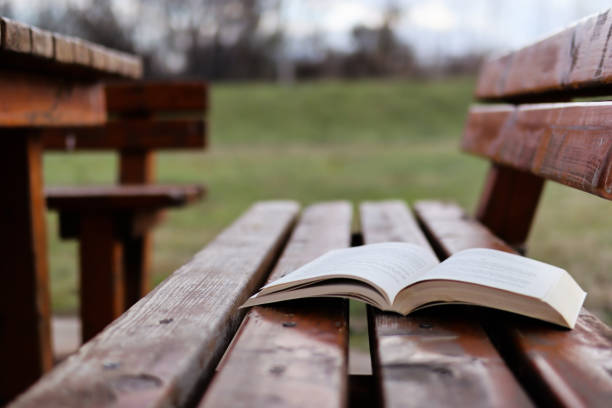 Book on retro wooden bench in park on cloudy day stock photo