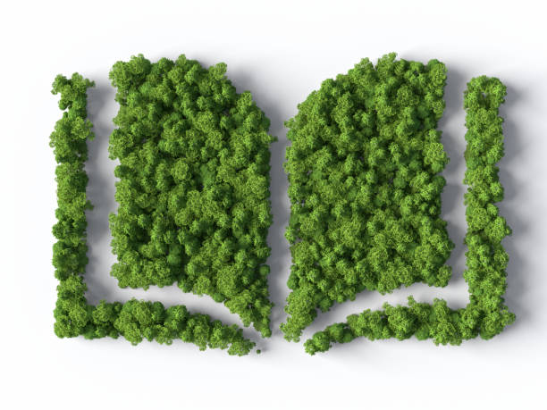 Book symbol made from the forest stock photo