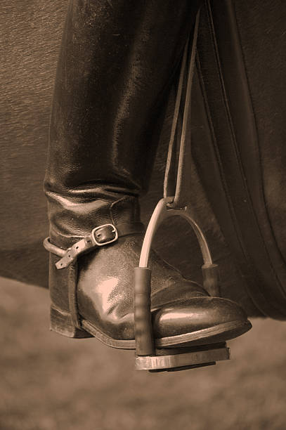 Boot In Stirrup.  stirrup stock pictures, royalty-free photos & images
