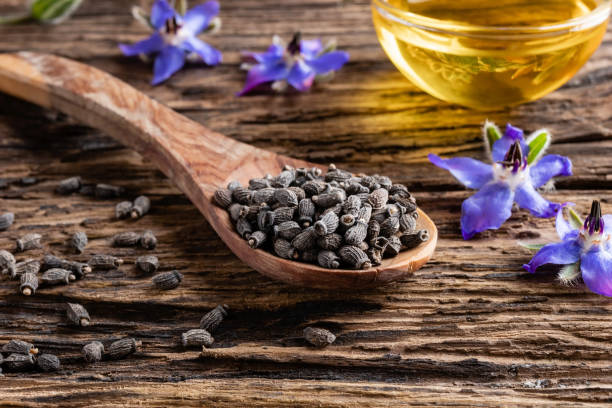 Borage seeds on a wooden spoon, with borage oil and flowers in the background stock photo