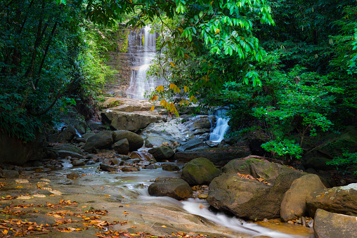 Borneo rain forest waterfall, idyllic stream flowing in the lush green jungle of Kubah National Park, Sarawak, Malaysia.