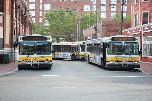 Boston city buses (MBTA Bus) in Cambridge, MA. MBTA Bus operates on 177 lines.