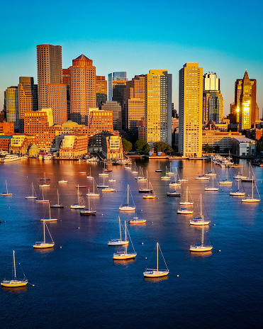 Boston Sailboats sunbath in the harbor