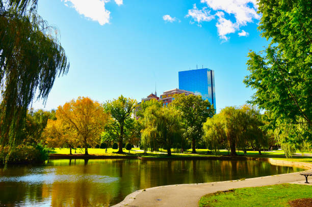 Boston Public Gardens stock photo