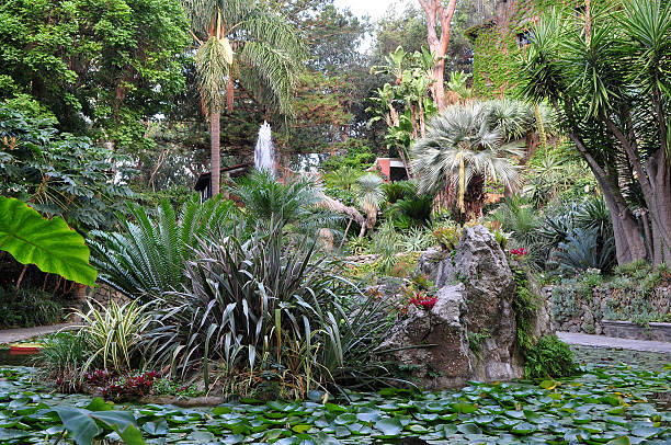 botanical garden La Mortella,Ischia,Italy stock photo