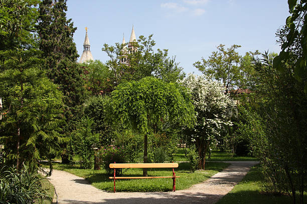 Botanical Garden, Padua stock photo