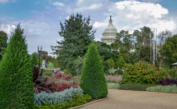 U.S. Botanical Garden View of the U.S. Capitol in Washington, DC View of the West Facade of the U.S. Capitol from the U.S. Botanical Garden in Washington, DC botanical garden stock pictures, royalty-free photos & images