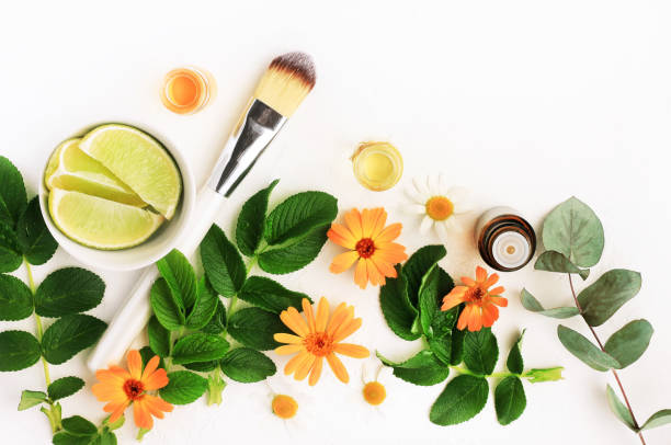 Botanical herbal beauty treatment, soothing blossom of calendula, green fresh lime, essential oils. Making cosmetics plant ingredients top view set. ingredient photos stock pictures, royalty-free photos & images