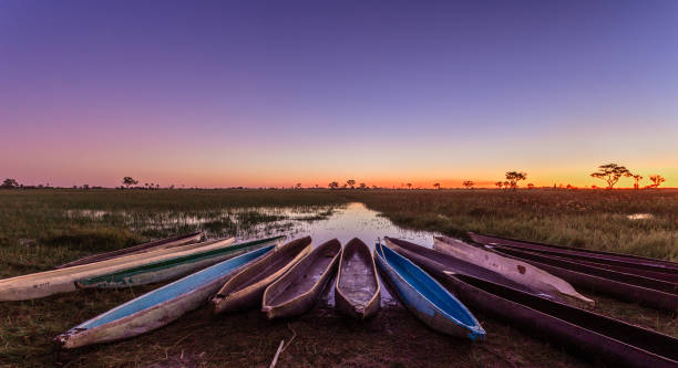 Botswanian local mokoro boats in the sunset time, on the shore of delta Okavango river, Botswana Botswanian local mokoro boats in the sunset time, on the shore of delta Okavango river, Botswana botswana stock pictures, royalty-free photos & images
