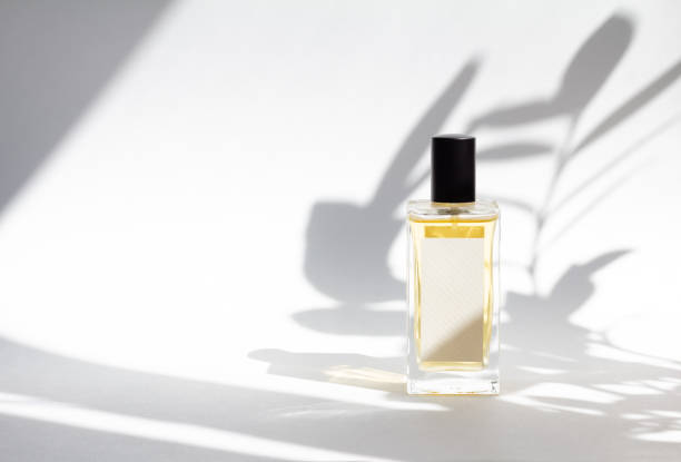 Bottle of essence perfume on white background with sunlight and shadows of leaves. stock photo