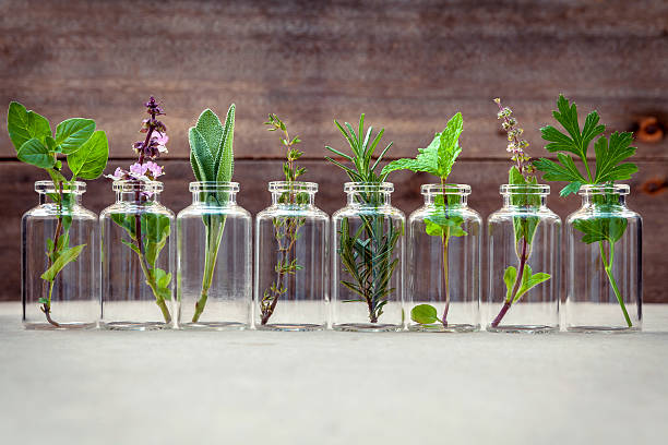 Bottle of essential oil with herbs . Bottle of essential oil with herbs holy basil flower, basil flower,rosemary,oregano, sage,parsley ,thyme and mint set up on old wooden background . holistic medicine stock pictures, royalty-free photos & images