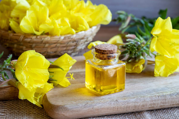 A bottle of evening primrose oil with fresh blooming evening primrose stock photo