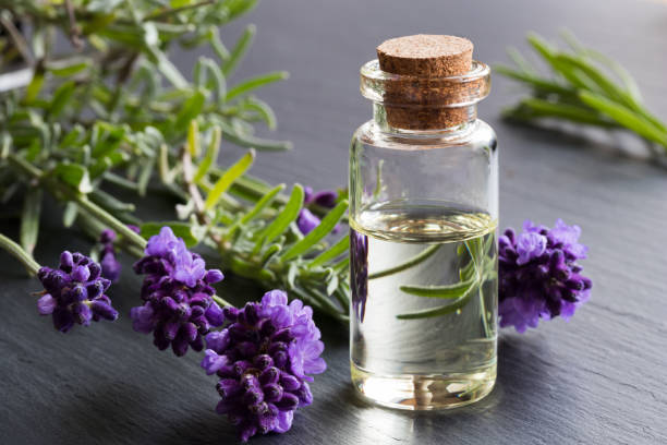 Essential organic oil of lavender